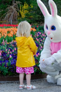 Easter Bunny Pictures - A Photo lasts a life time.